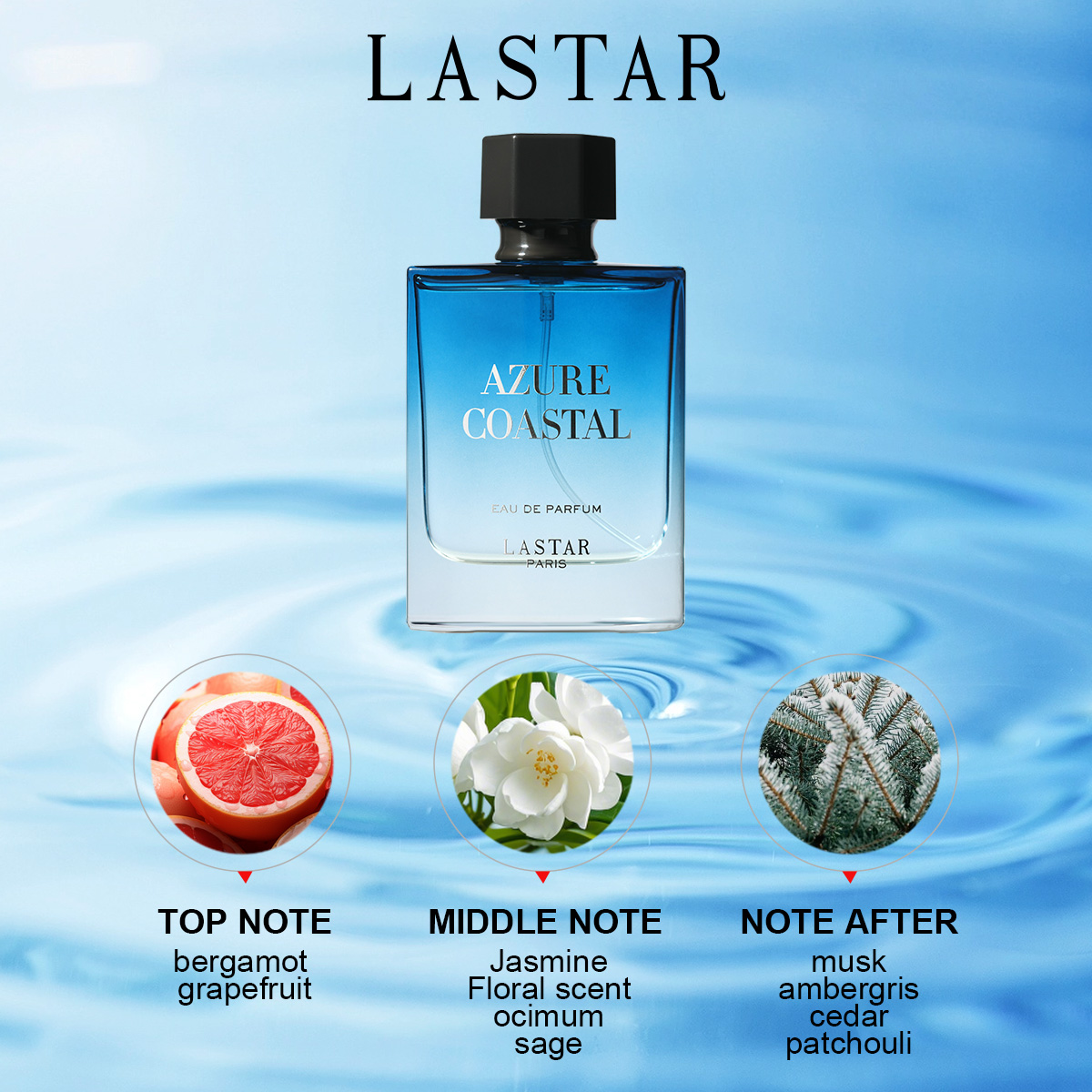 LASTAR Erkek Parfümü, Toplam 1 - Home Fragrance Gift incelemesi ve fiyatı